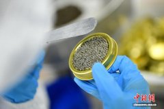 甘肃甘南：海拔2300米雪山融水打造高原鲟鱼子酱
