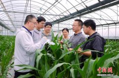 有助降低中国相关进口依赖 科研人员